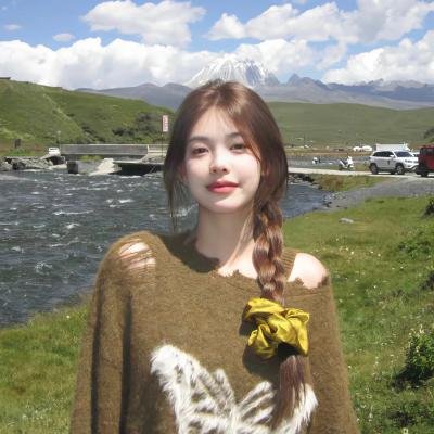 企鹅之岛:福克兰